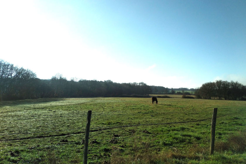 campagne en hiver