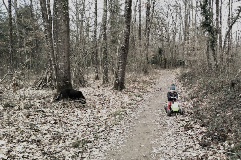 promenade en forêt